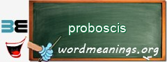 WordMeaning blackboard for proboscis